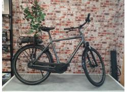 Trek District+ 1 XL Lithium Grey (300 Wh)